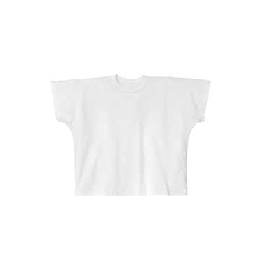 TS-01