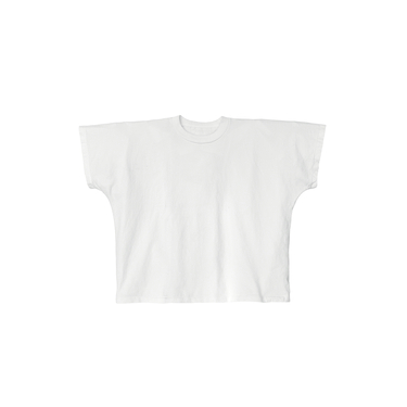 TS-01